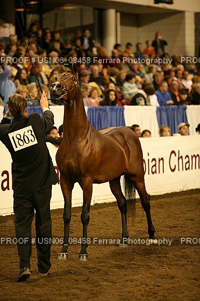 Proof Number USN06_08458