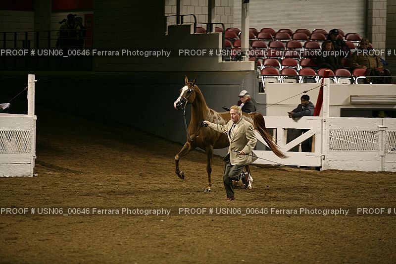Proof Number USN06_00646