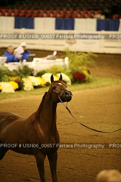 Proof Number USN06_00657