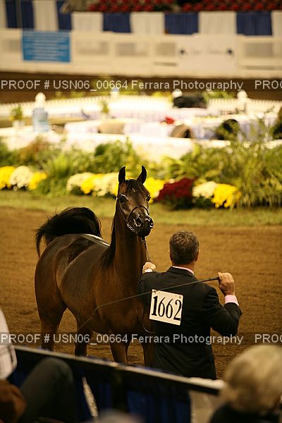 Proof Number USN06_00664