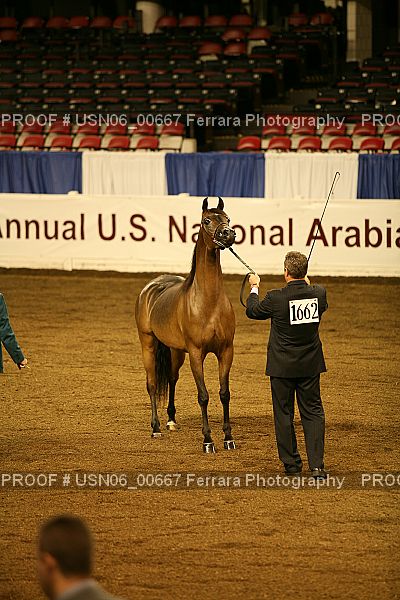 Proof Number USN06_00667