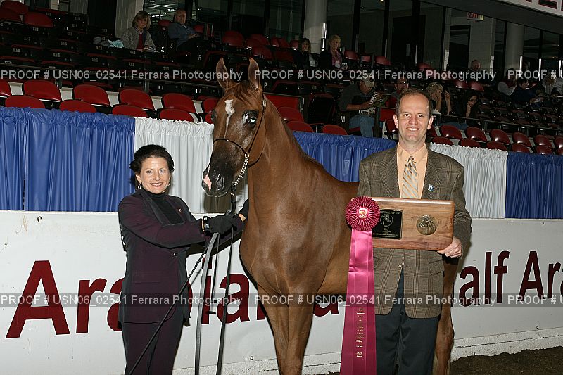 Proof Number USN06_02541