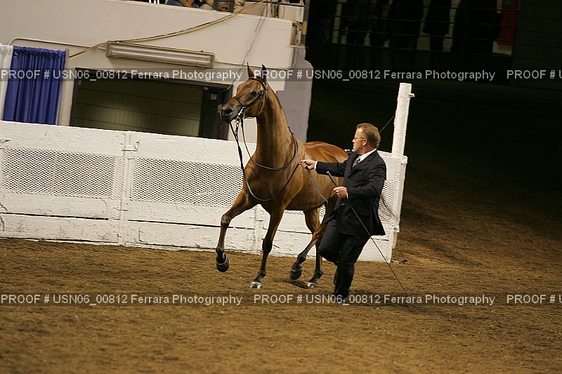 Proof Number USN06_00812