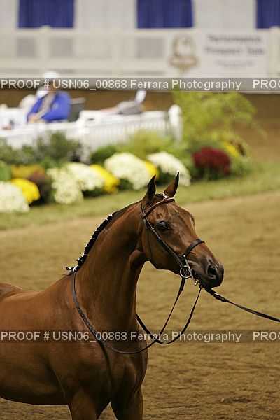 Proof Number USN06_00868