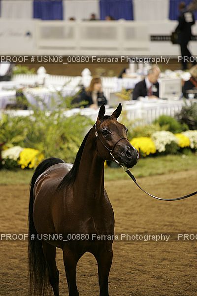 Proof Number USN06_00880