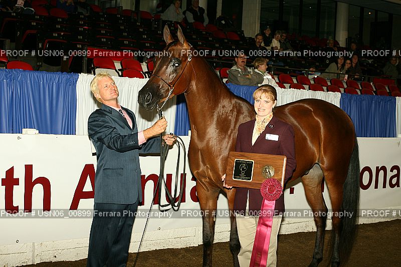 Proof Number USN06_00899