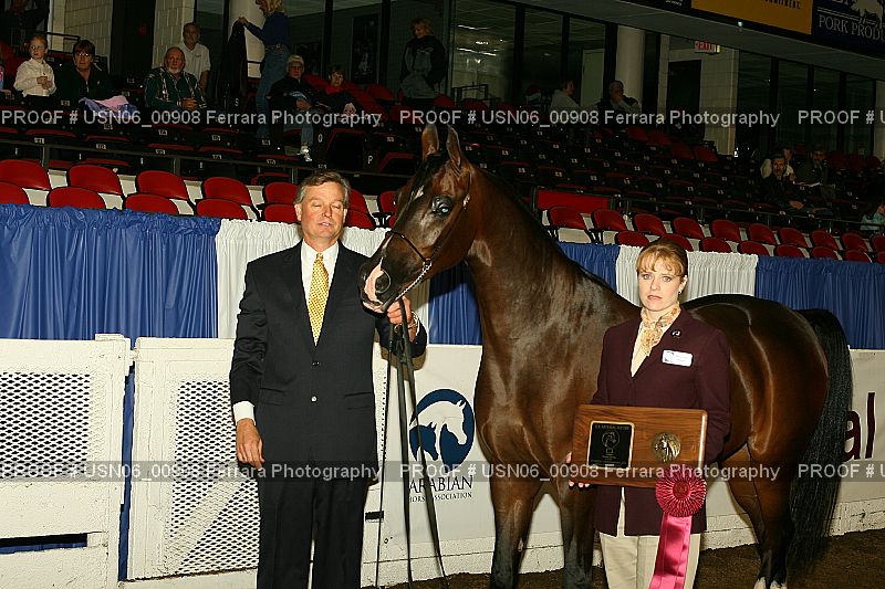 Proof Number USN06_00908