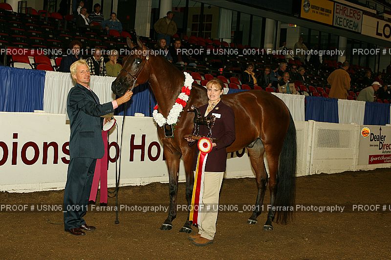 Proof Number USN06_00911