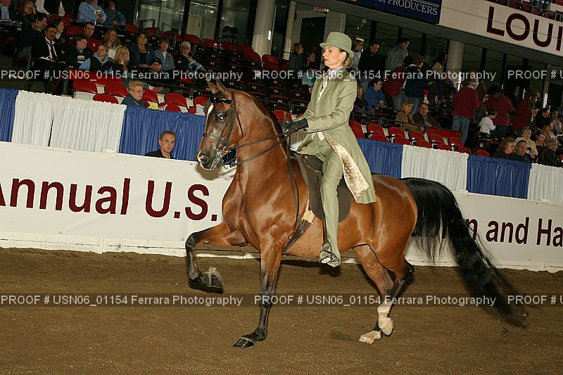 Proof Number USN06_01154