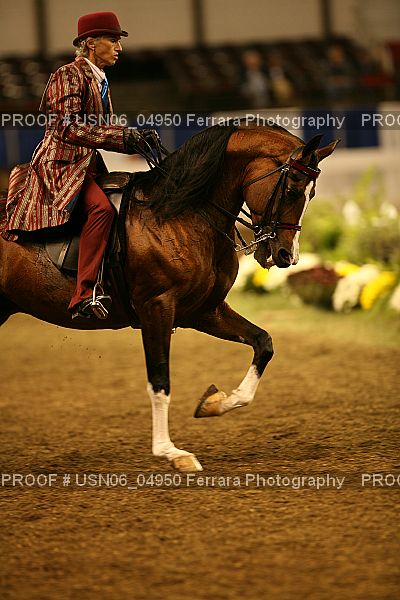 Proof Number USN06_04950