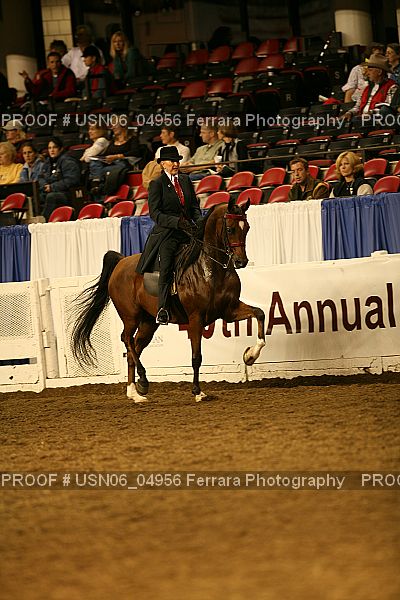 Proof Number USN06_04956