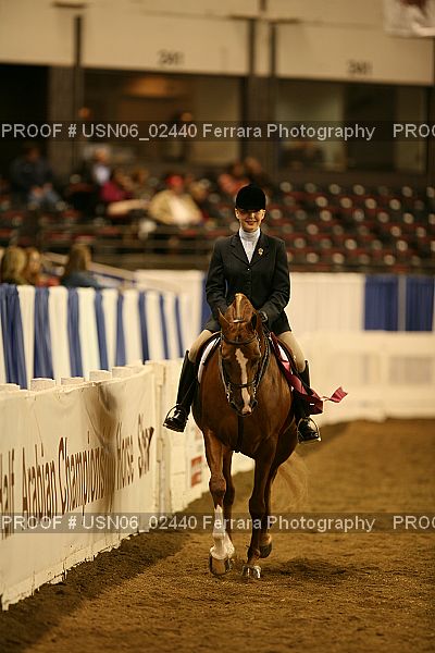Proof Number USN06_02440