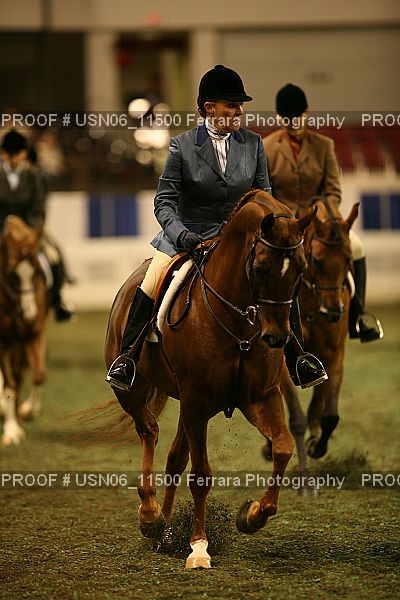 Proof Number USN06_11500