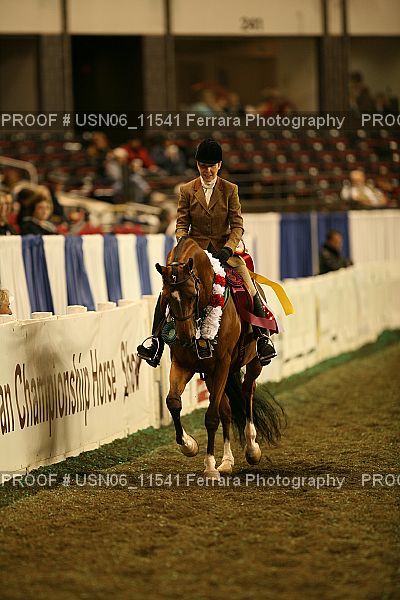 Proof Number USN06_11541