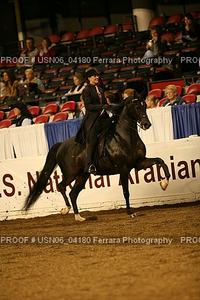 Proof Number USN06_04180