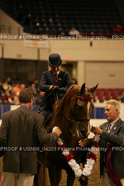Proof Number USN06_04203