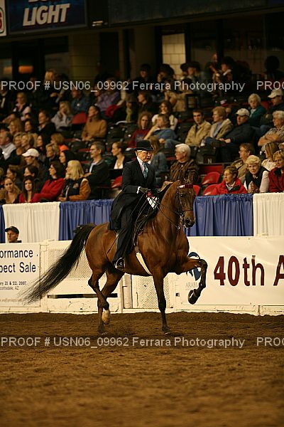Proof Number USN06_09962