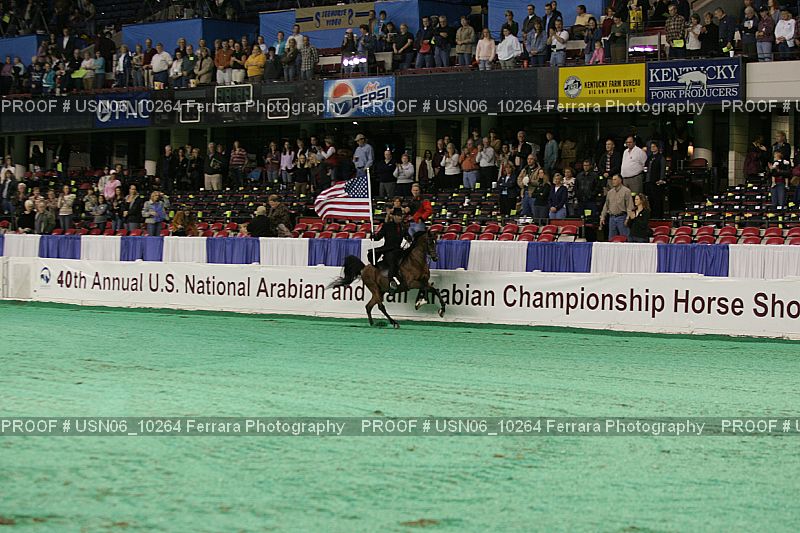 Proof Number USN06_10264