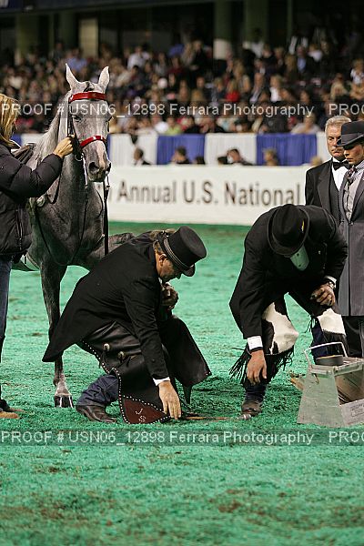 Proof Number USN06_12898