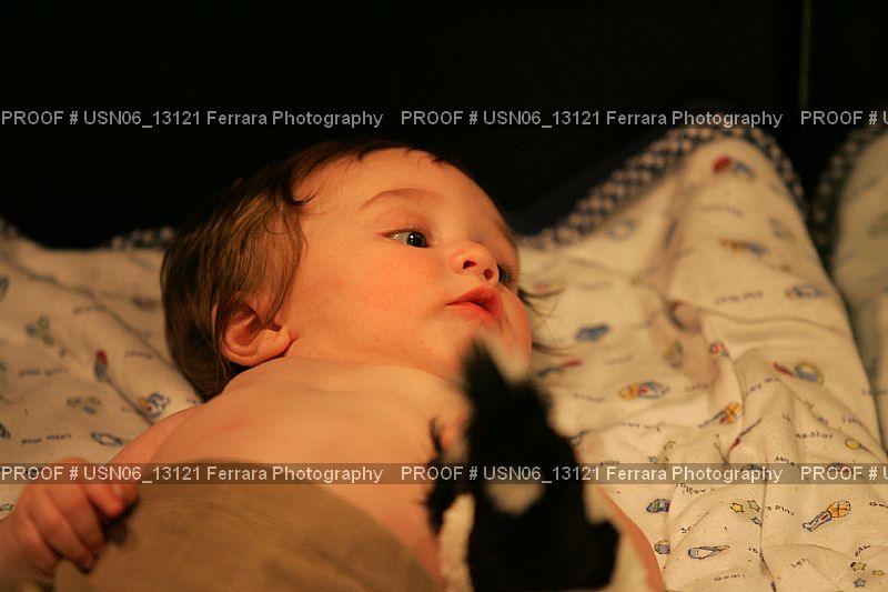 Proof Number USN06_13121