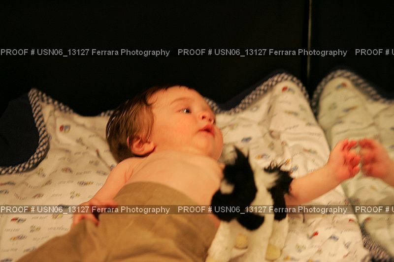 Proof Number USN06_13127