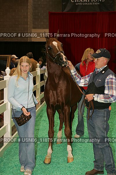 Proof Number USN06_11875