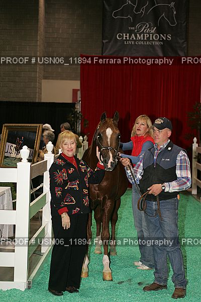 Proof Number USN06_11894