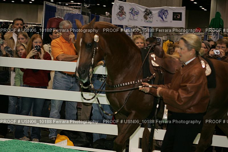 Proof Number USN06_10188