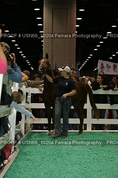 Proof Number USN06_10204