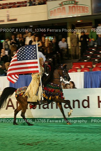 Proof Number USN06_13765