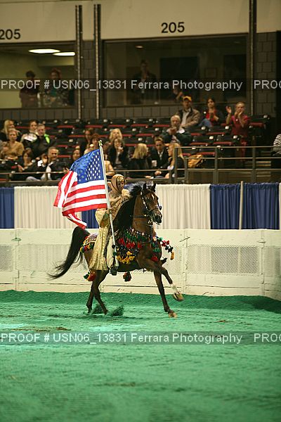 Proof Number USN06_13831