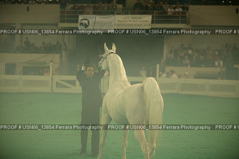 Proof Number USN06_13854