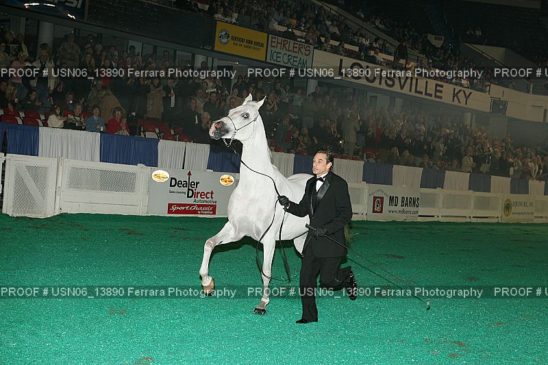 Proof Number USN06_13890