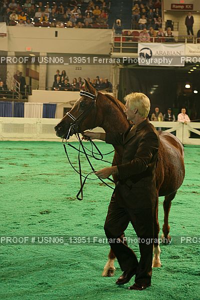 Proof Number USN06_13951