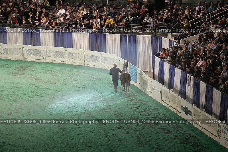 Proof Number USN06_13956