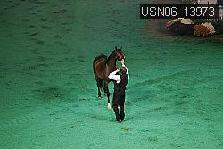 USN06_13973 thumbnail