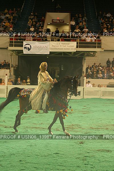Proof Number USN06_13987