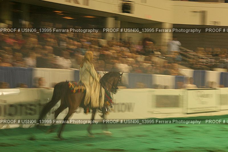 Proof Number USN06_13995