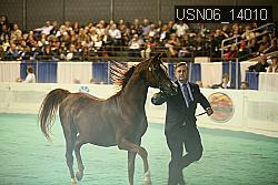USN06_14010 thumbnail