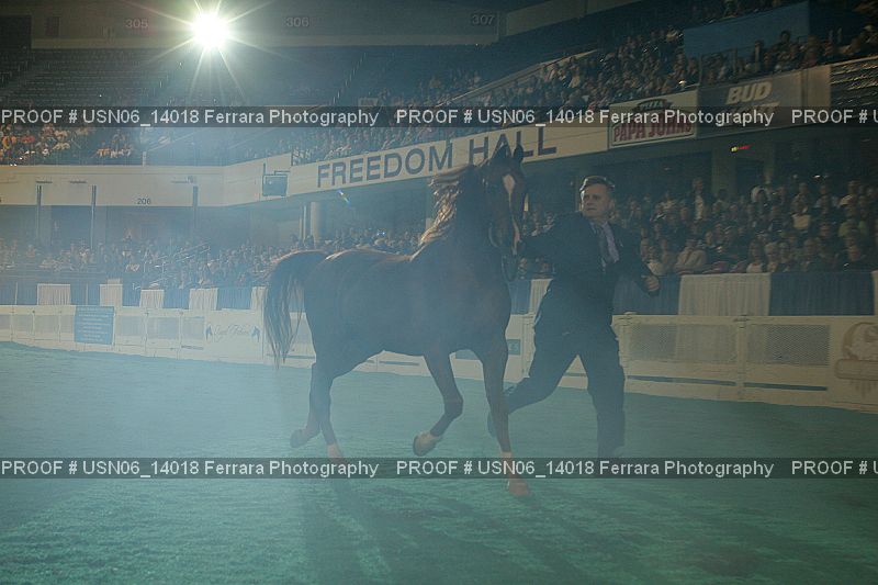 Proof Number USN06_14018