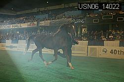 USN06_14022 thumbnail