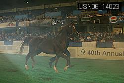 USN06_14023 thumbnail