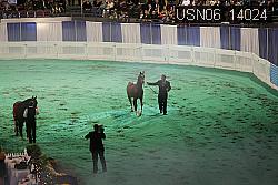 USN06_14024 thumbnail
