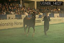 USN06_14027 thumbnail