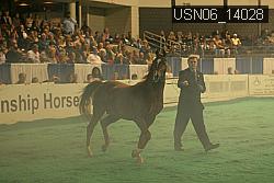 USN06_14028 thumbnail