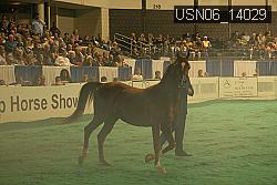 USN06_14029 thumbnail