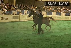 USN06_14030 thumbnail