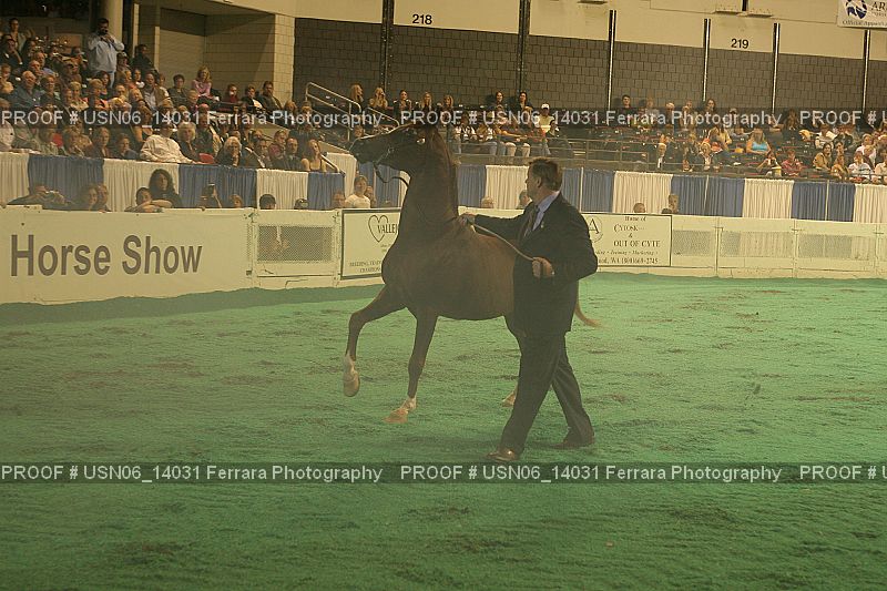 Proof Number USN06_14031