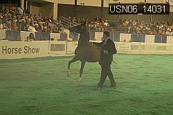 USN06_14031 thumbnail
