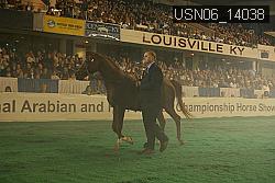USN06_14038 thumbnail
